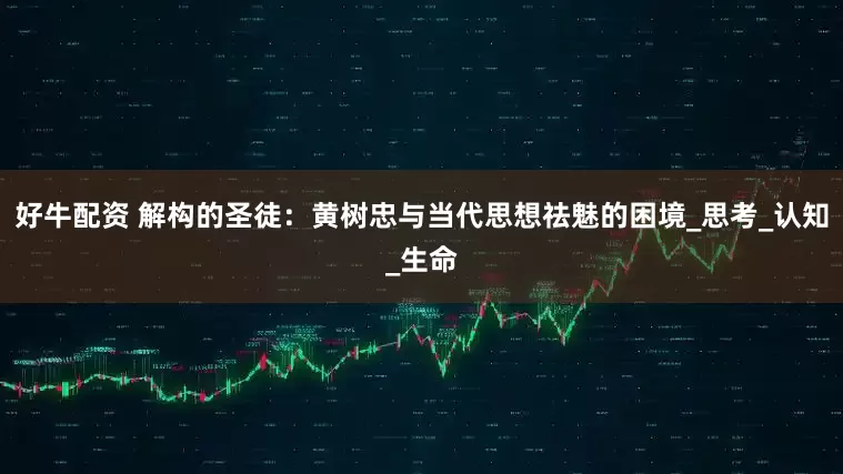 好牛配资 解构的圣徒：黄树忠与当代思想祛魅的困境_思考_认知_生命