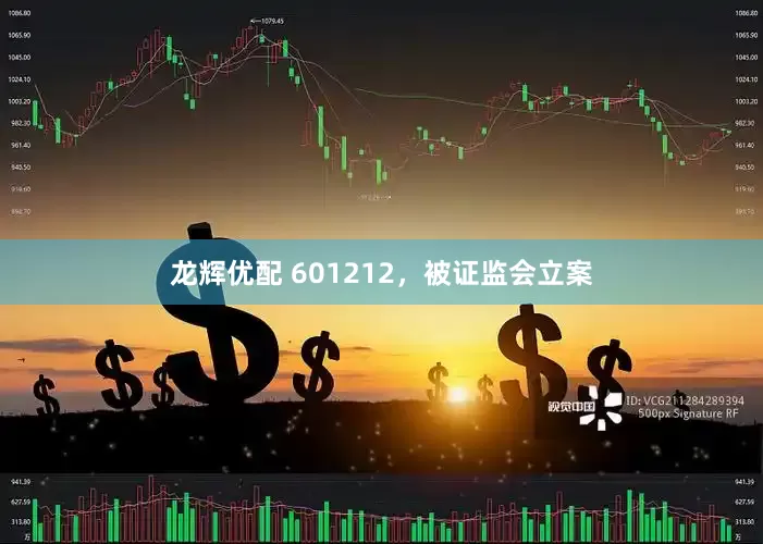 龙辉优配 601212，被证监会立案